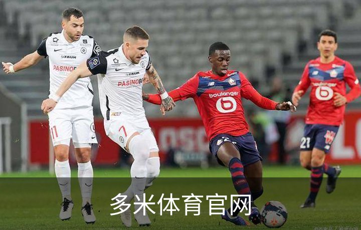 多米体育官网介绍